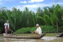 Tour Hà Nội – Phú Quốc - Miền Tây – Vũng Tàu – Đại Nam 7 Ngày 6 Đêm